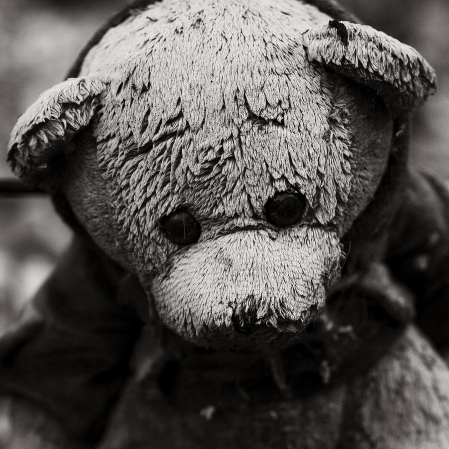 Брошенные плюшевые игрушки