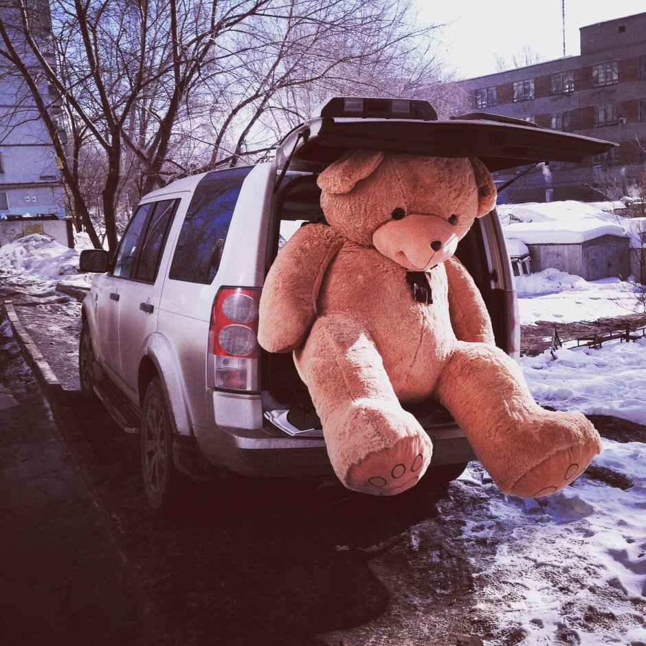 Огромный плюшевый медведь в машине