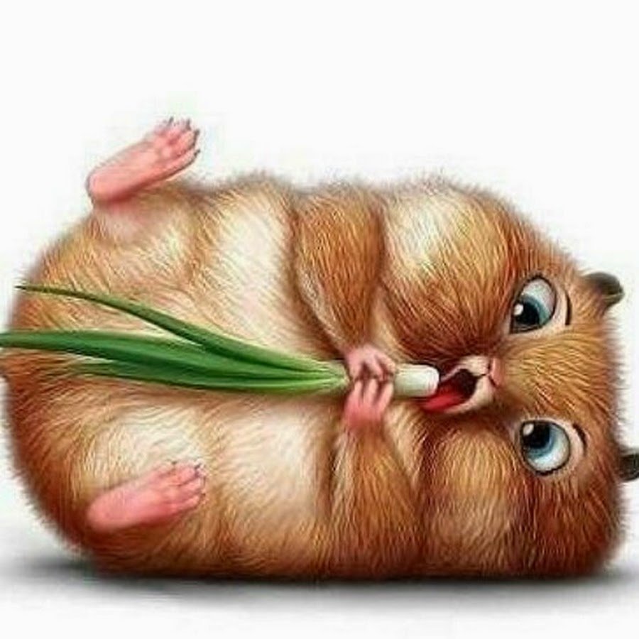 Сижу на диете