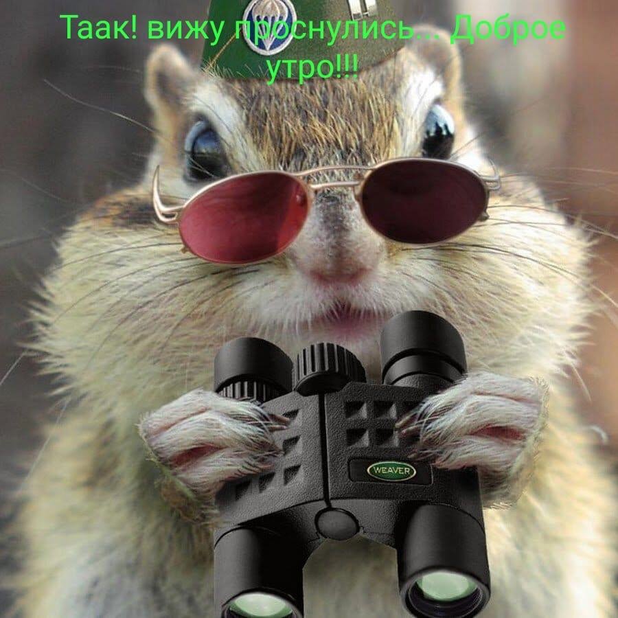 С днем разведки прикольные