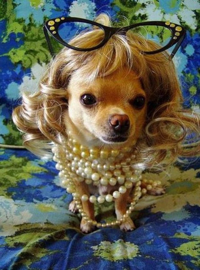 Добрая собачка