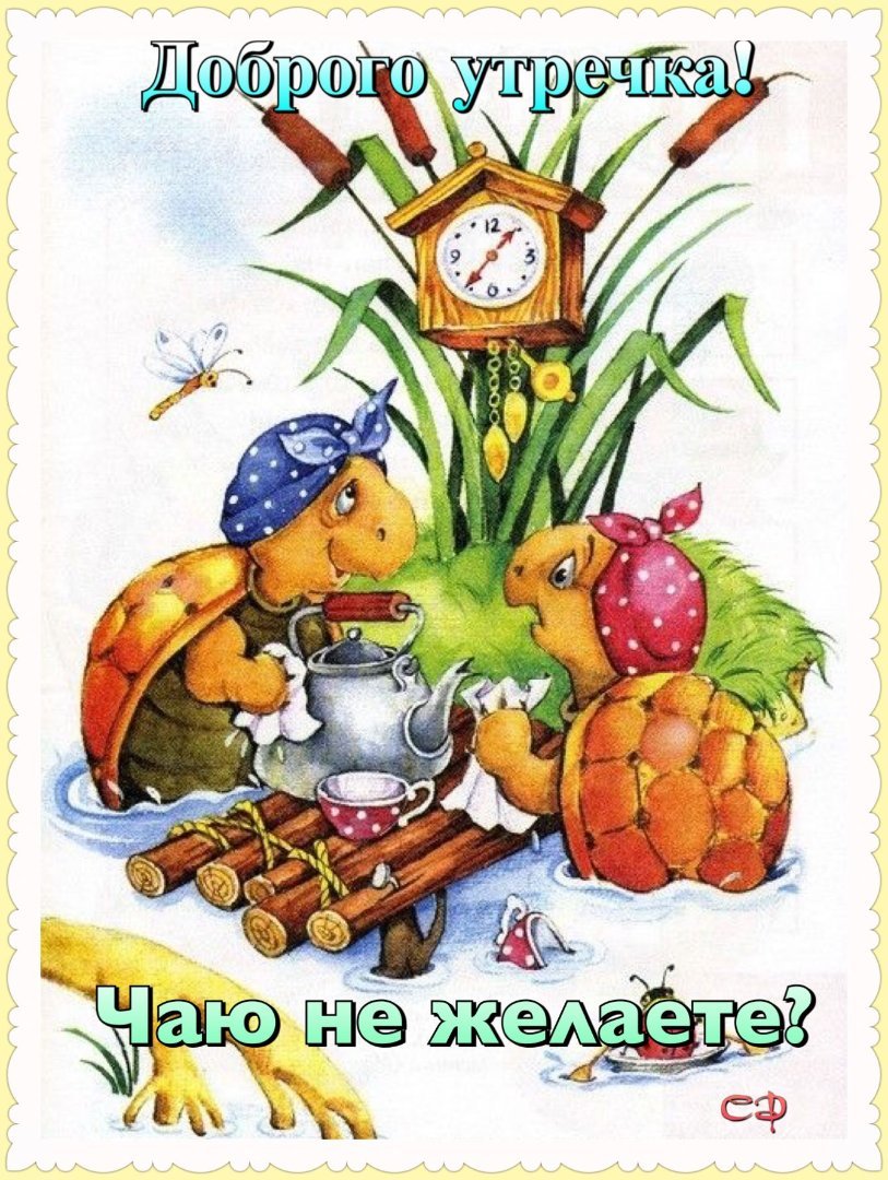 Доброе утро черепаха