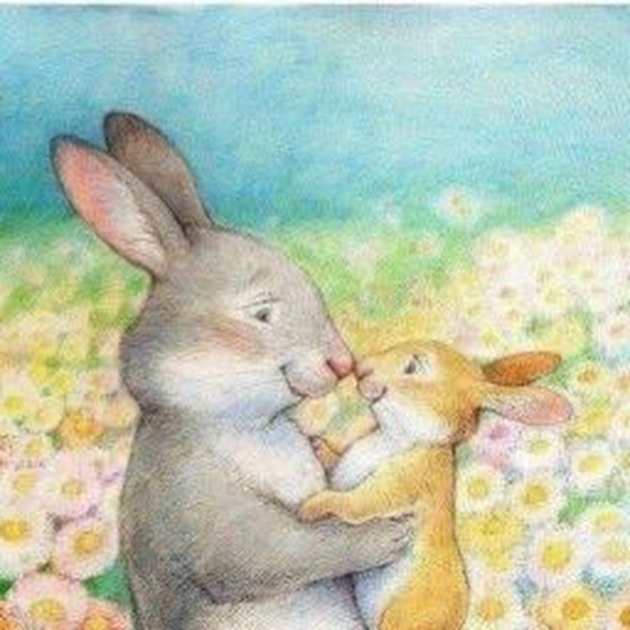 Петра Браун зайцы