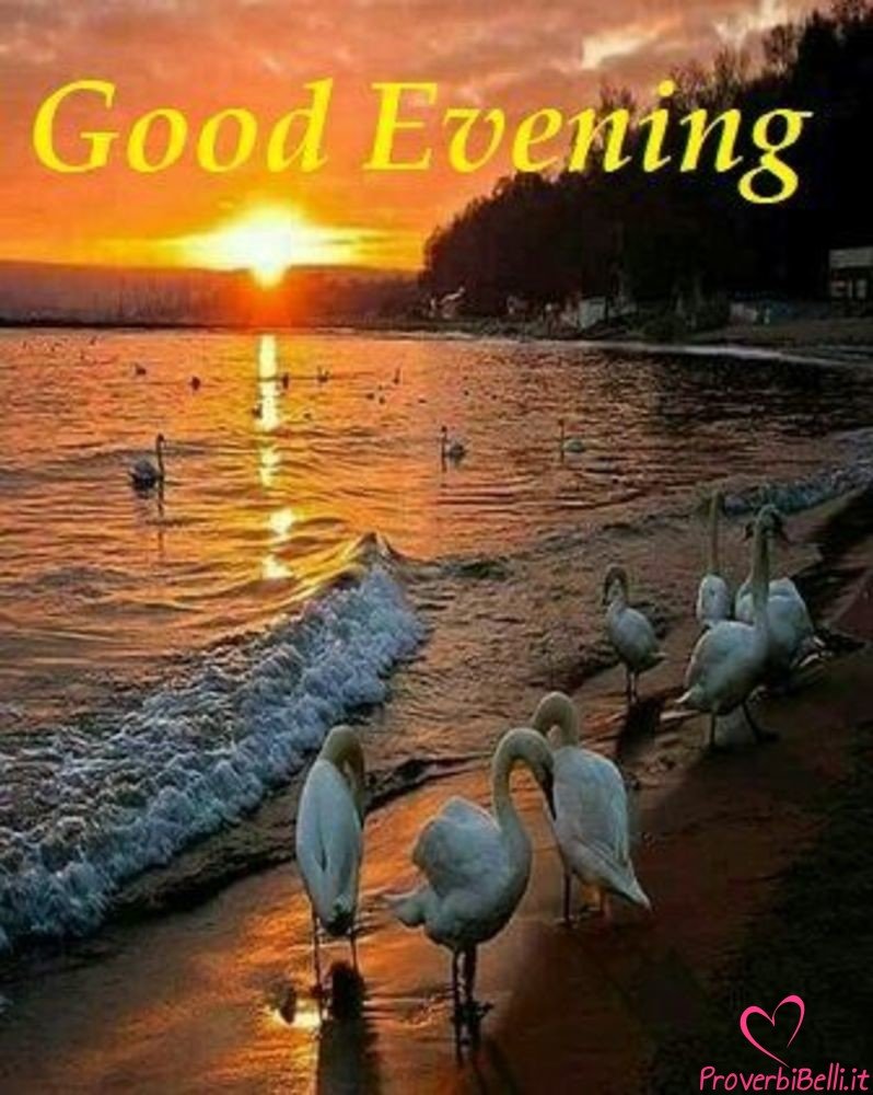 Добрый вечер природа