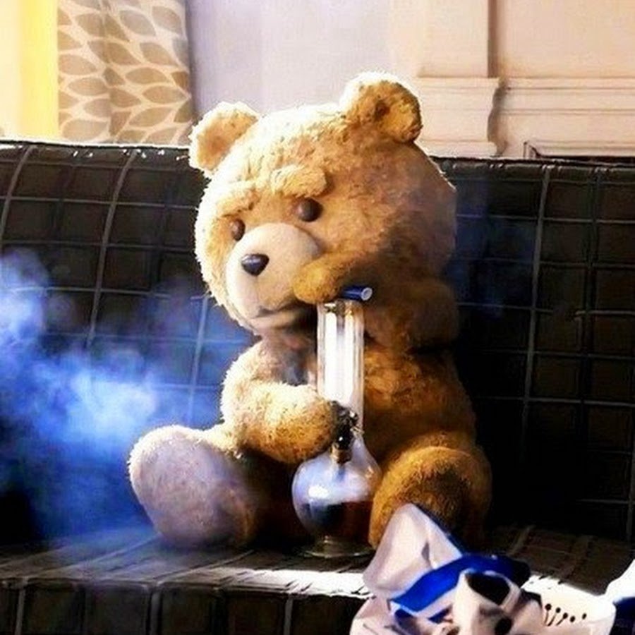 Брат медвежонок