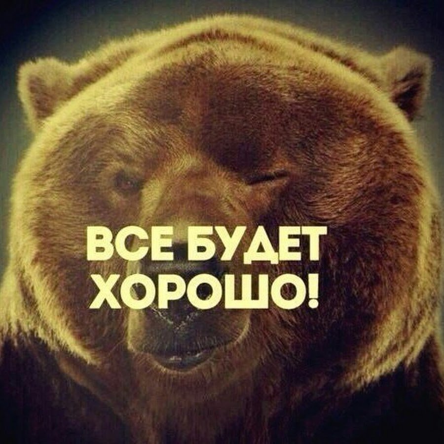 Медведь с надписью Прорвемся