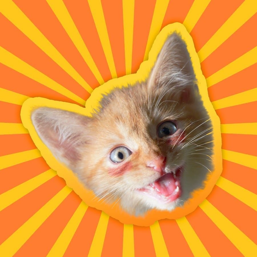 Симбочка пимбочка младший