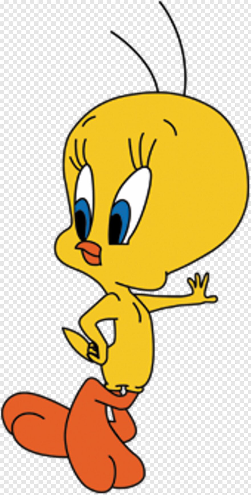 Кенар Твити