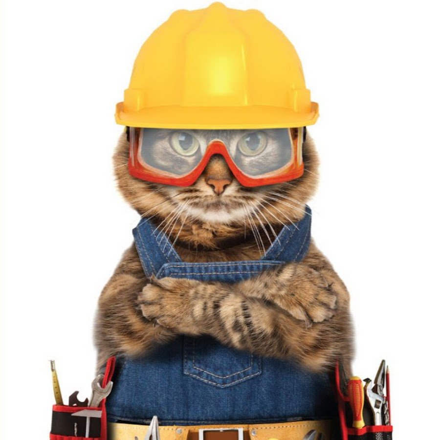 Кот Строитель