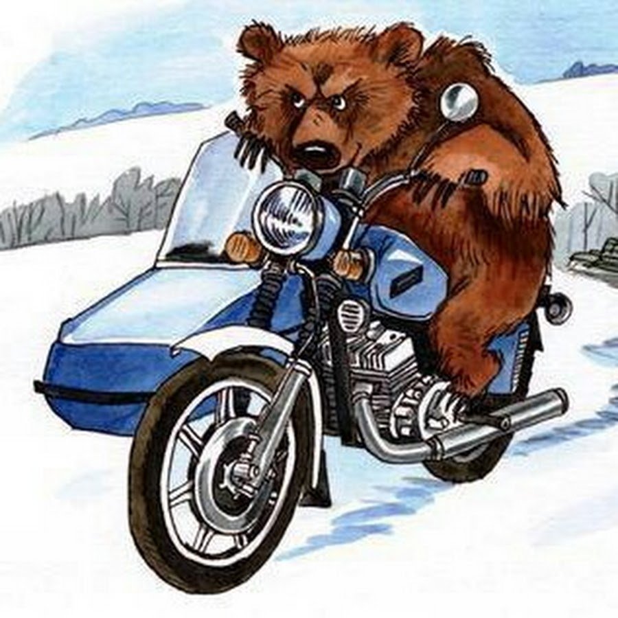 Мотокросс медведь