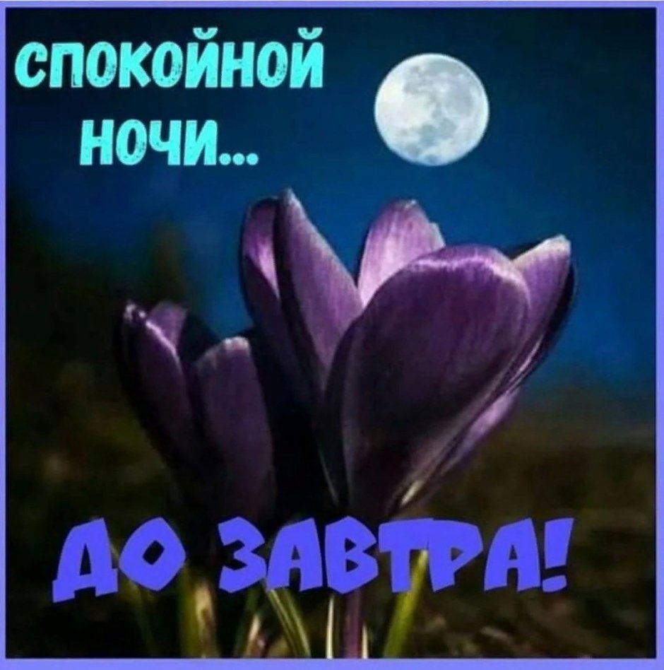 Спокойной весенней ночи