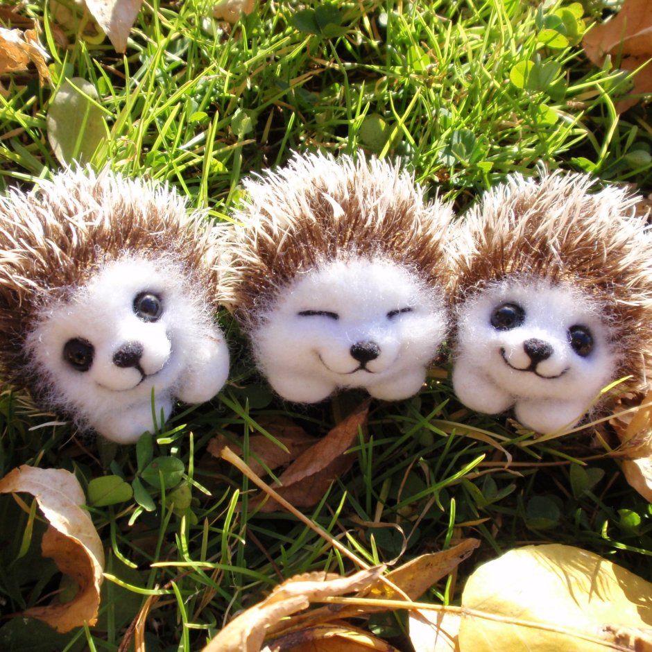 Ежик позитив