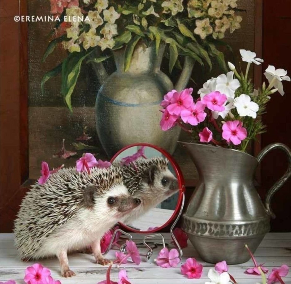 Ежуванчики Елена Еремина