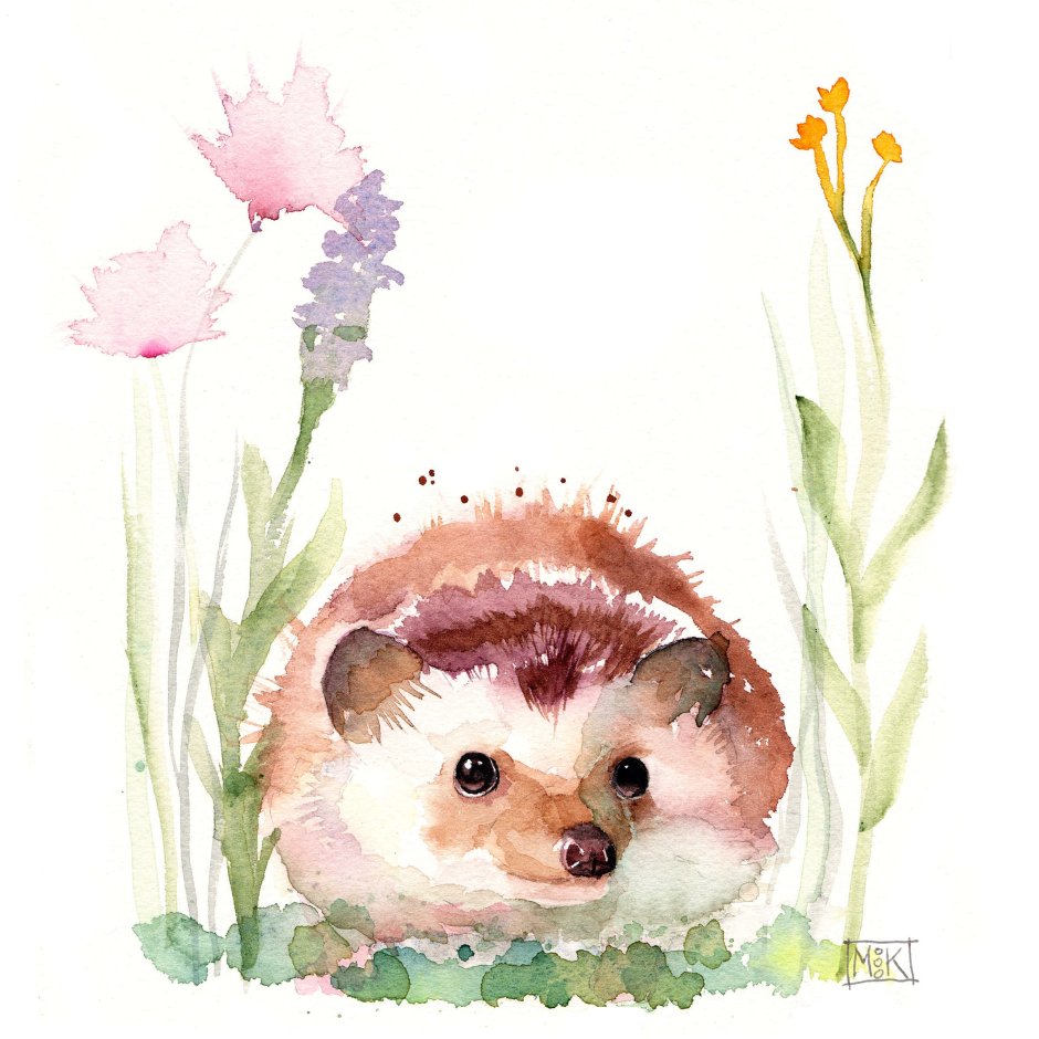 Ежик акварель