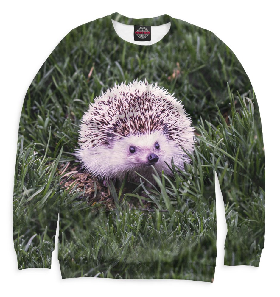 Еж в кофте