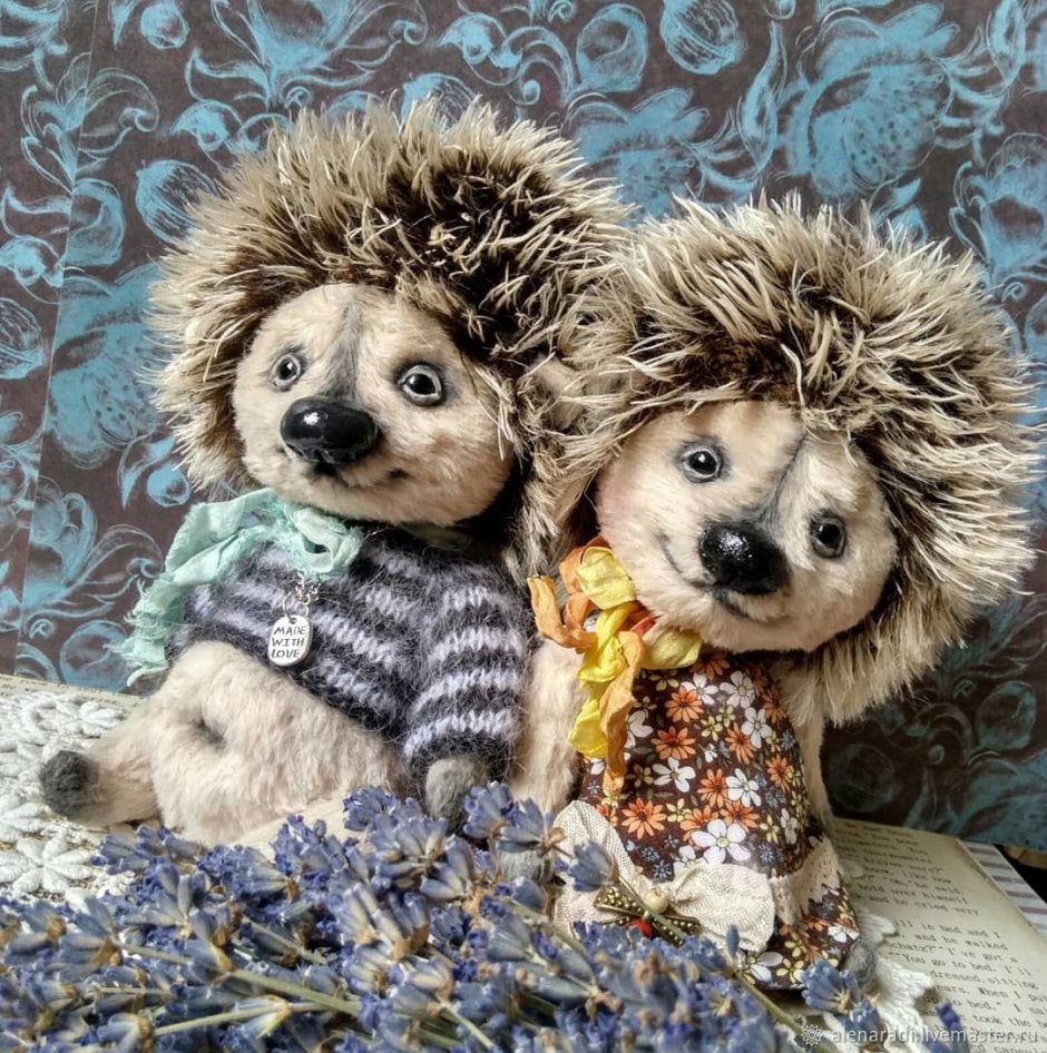 Ежик в одежде