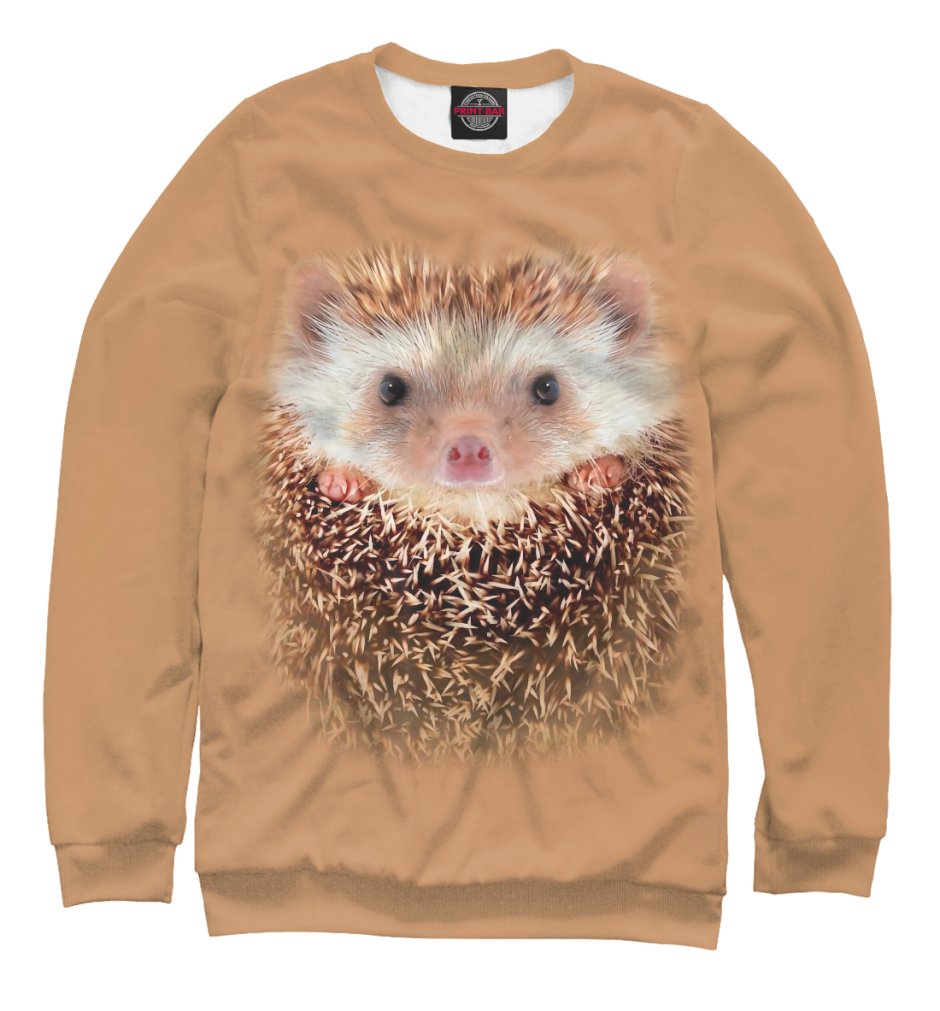 Свитшот с ежиком