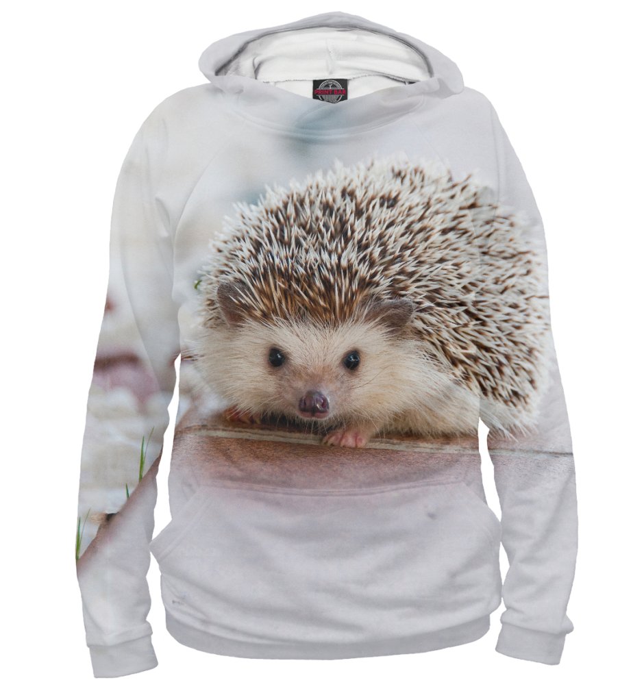 Ежик с вещами