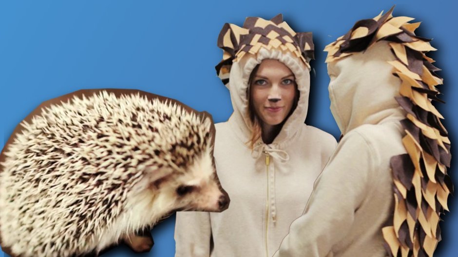 Костюм Ежик