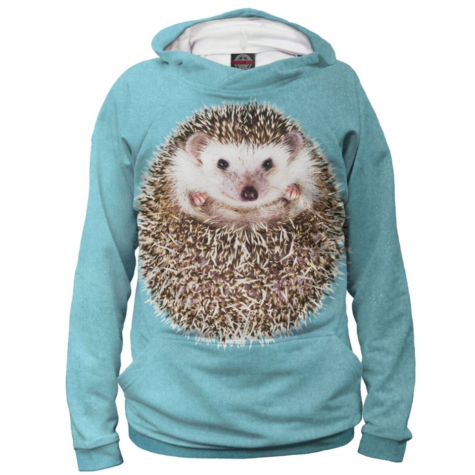 Ежик в одежде