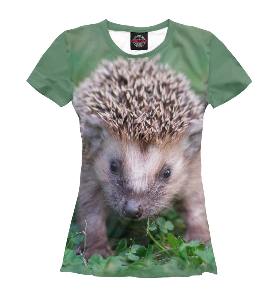 Футболка еж