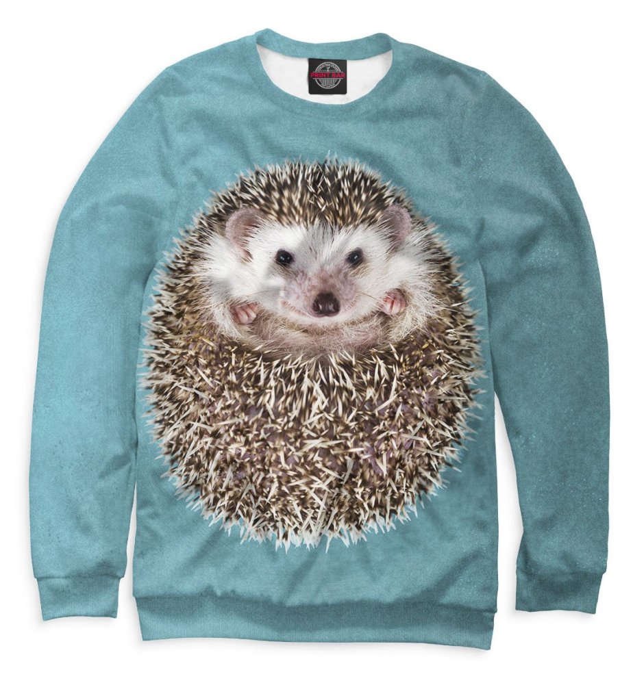 Худи с ежом детский