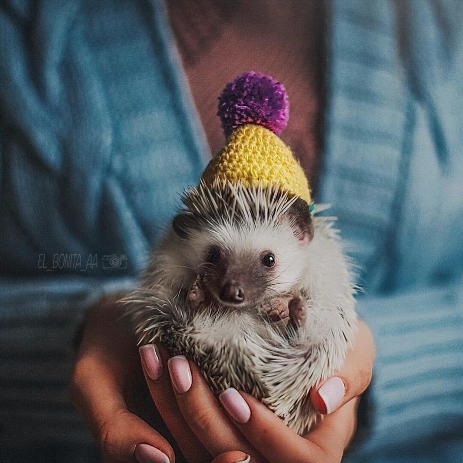 Шапочка "Ёжик"