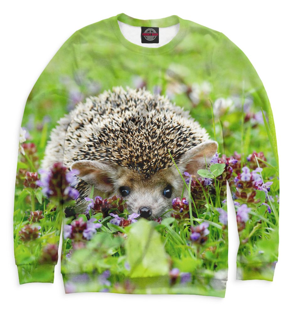 Еж в одежде