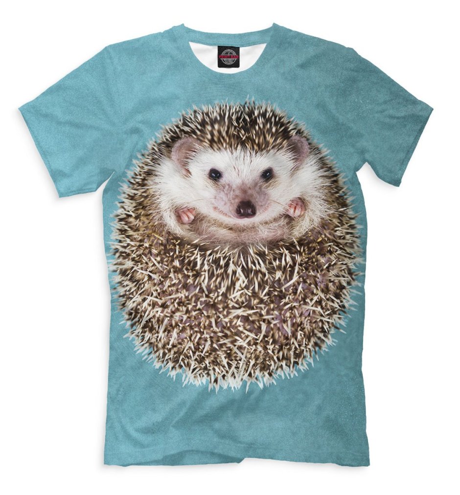 Футболка с Ёжиком мужская