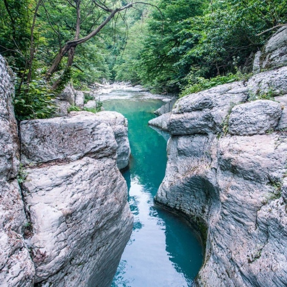 Сочинский национальный парк
