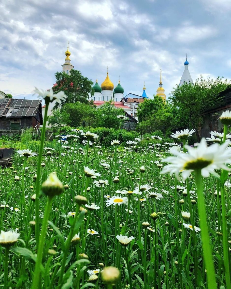 Ромашки и храм