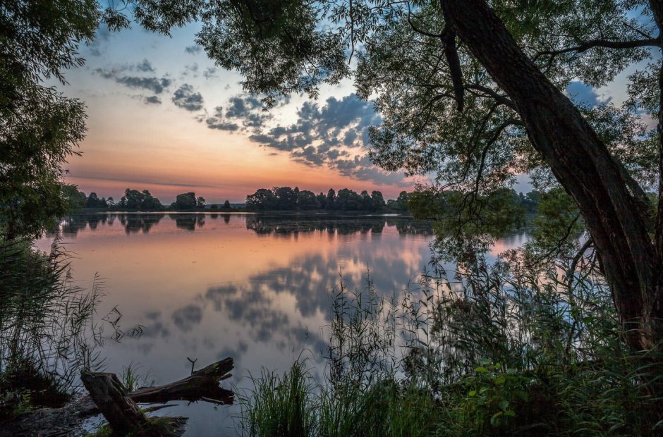 Природа Подмосковья