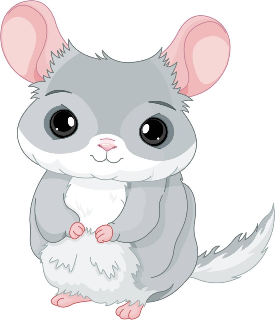 Мультяшка шиншилла