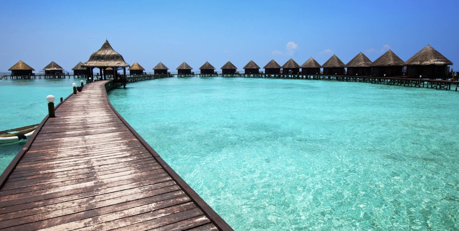 Мальдивы змеи
