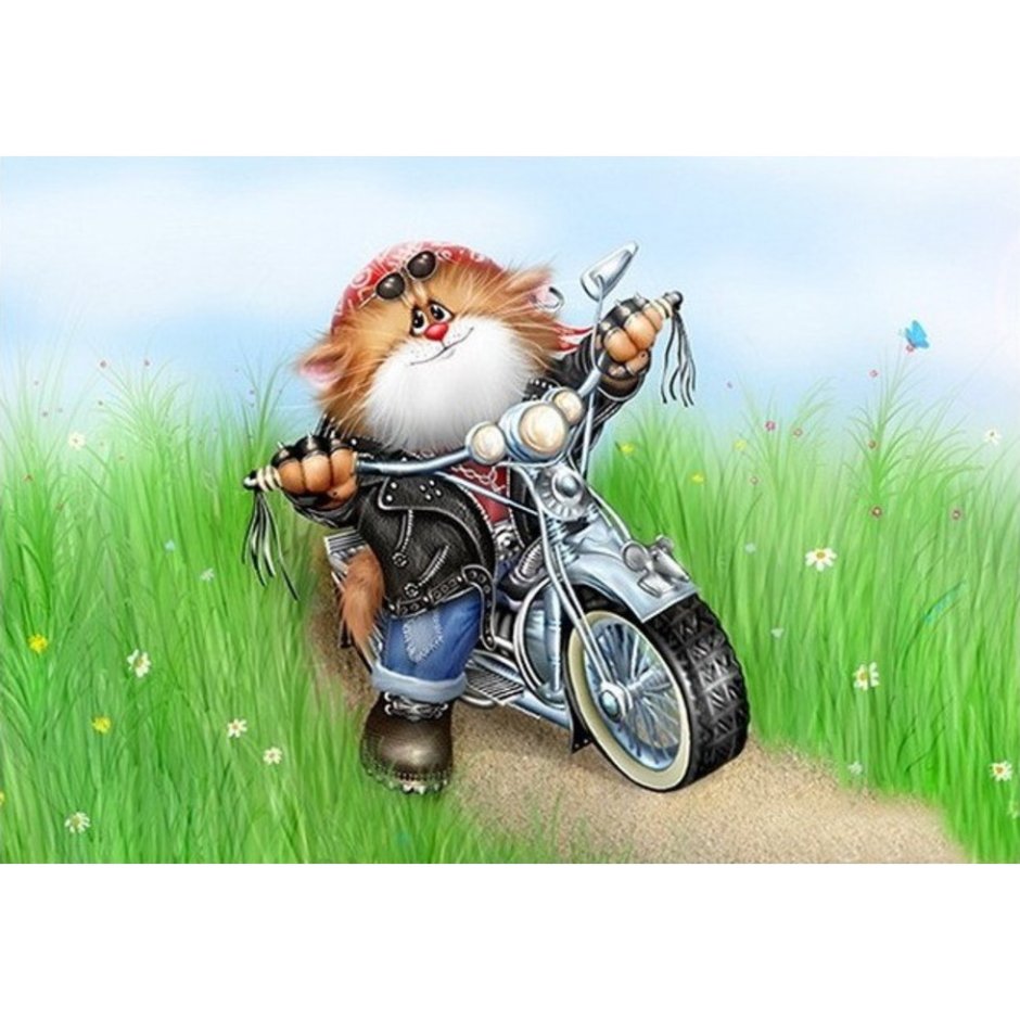 Кот на мотоцикле