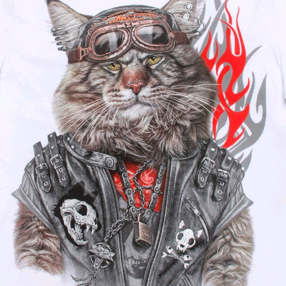 Футболка кот байкер
