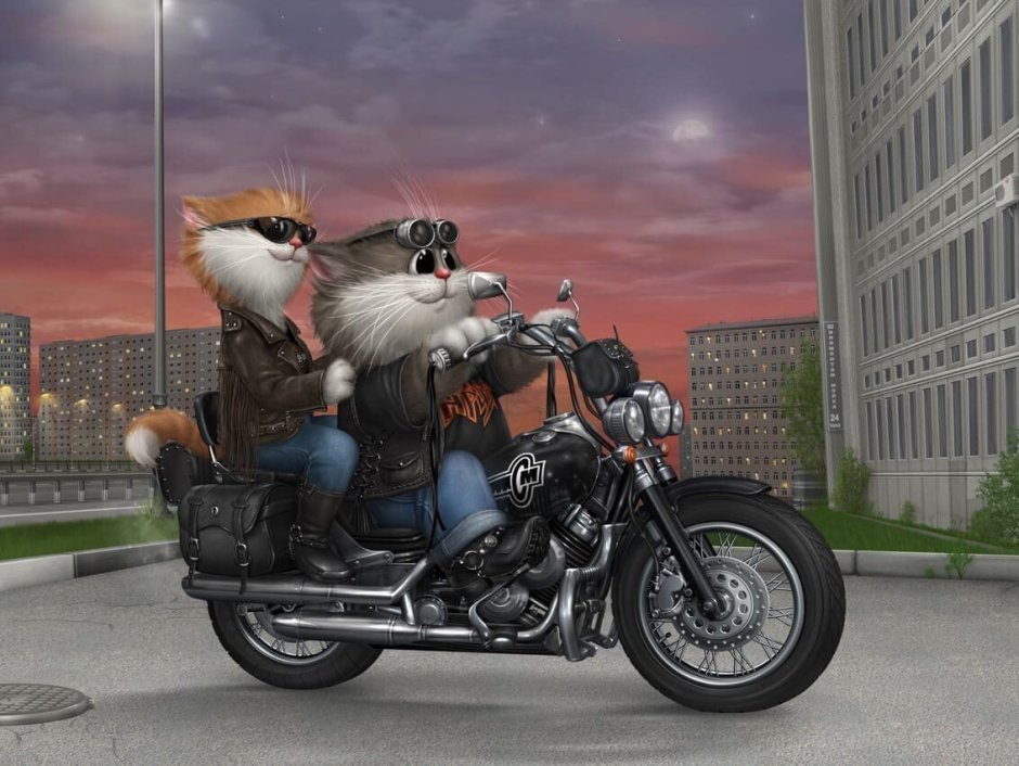 Котик байкер