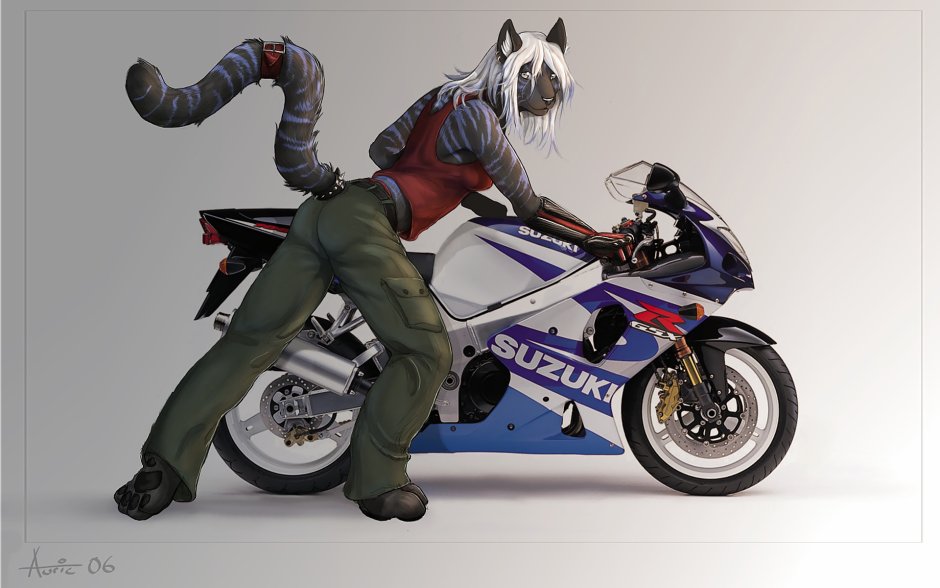 Фурри на мотоцикле