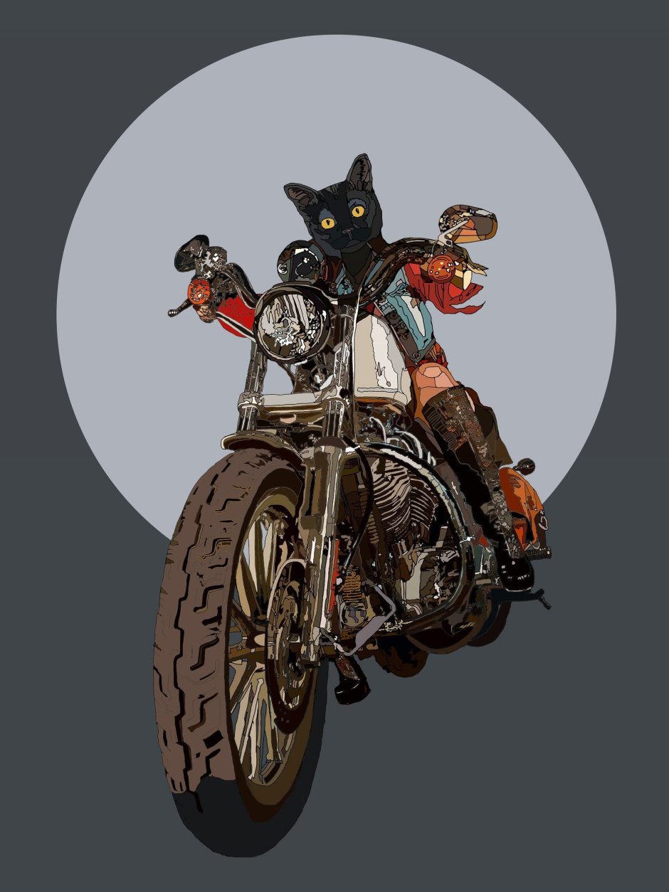 Кот на мотоцикле