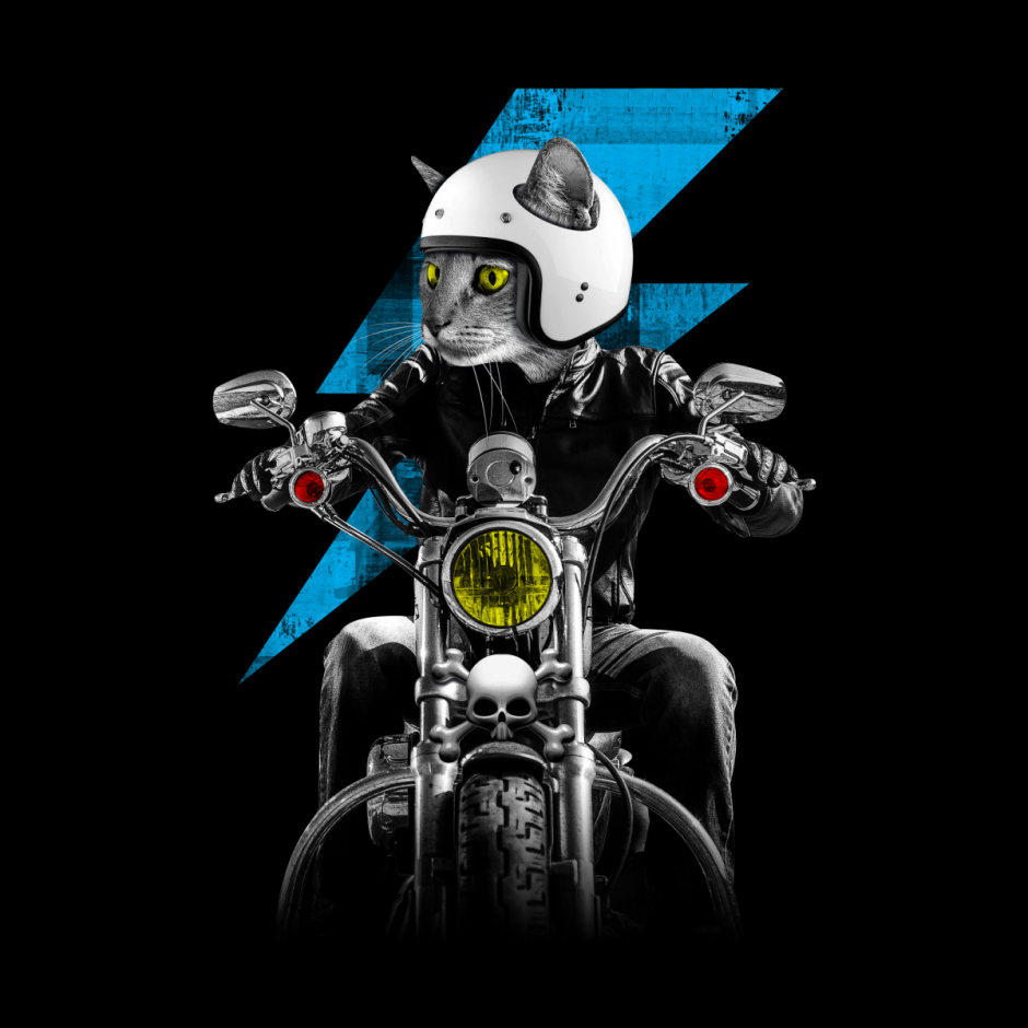 Коты байкеры
