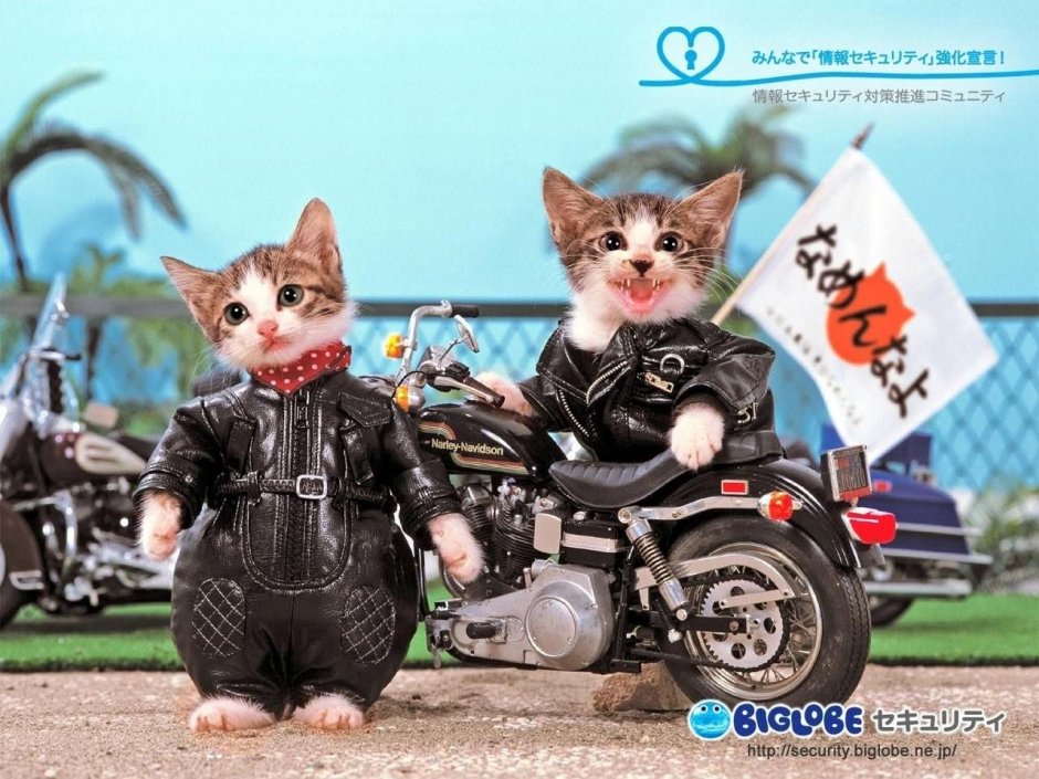 Брутальный байкер с котёнком