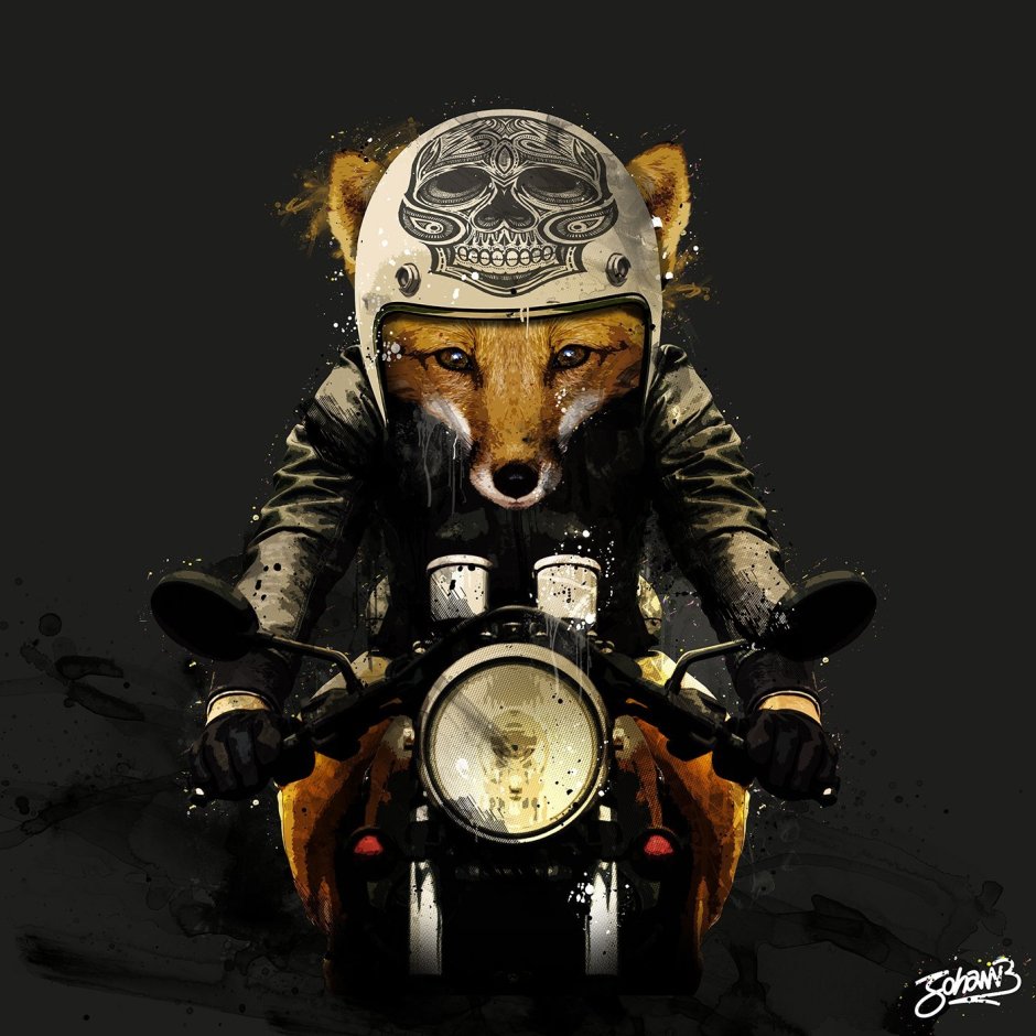 Лиса в каске