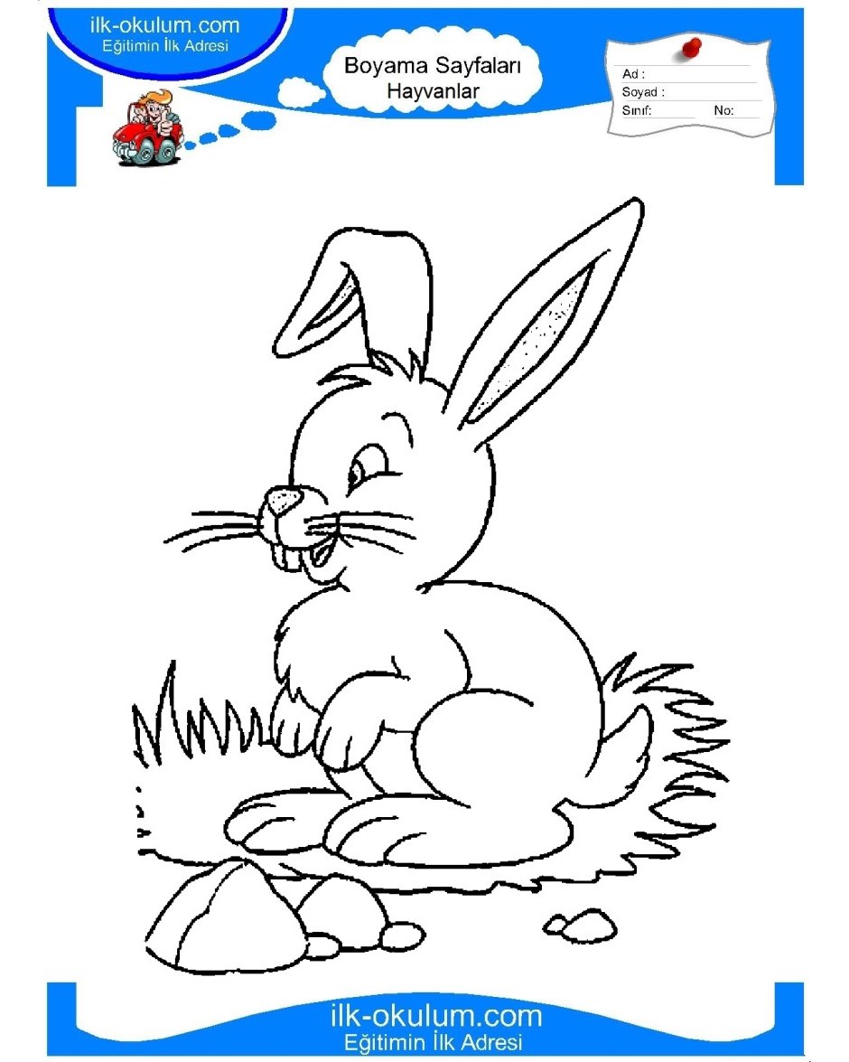 Раскраска лиса в лесу