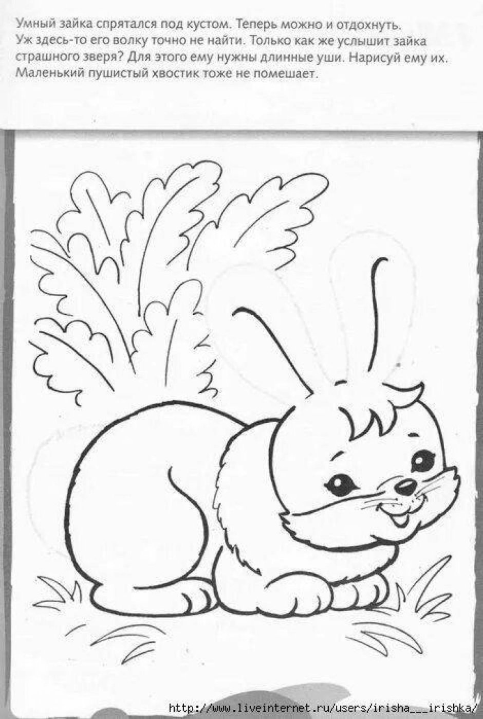 Марджори Сарнат лисы