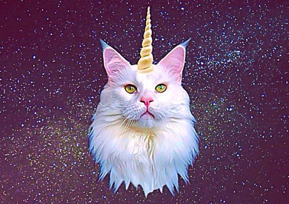 Кот с рогами