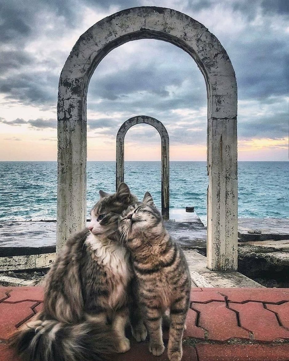 Арки Санта Барбара в Сочи