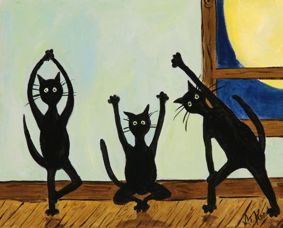 Кот на йоге