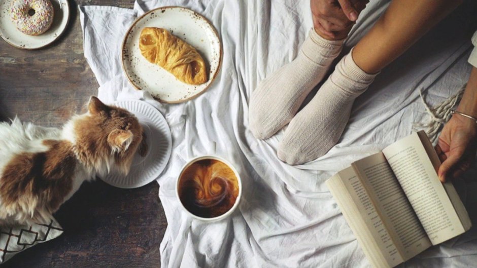 Кошка с кофе