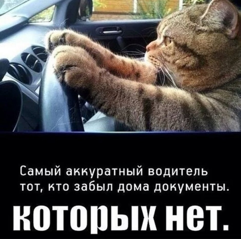 Юмор про водителей