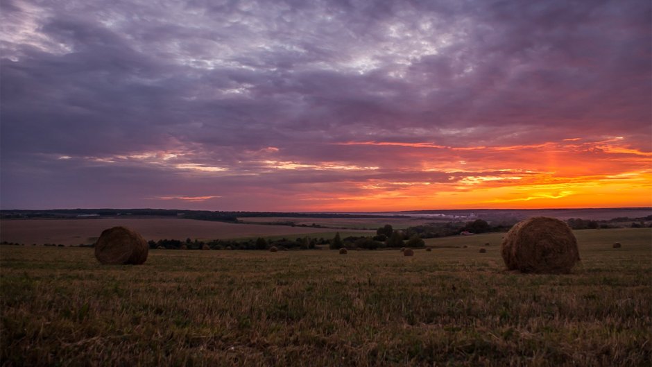 Степи Мордовии
